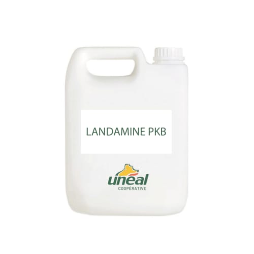 OLIGO - LANDAMINE PKB photo du produit Principale L
