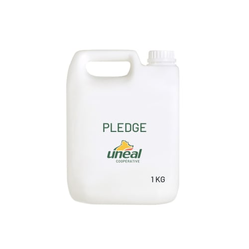 PLEDGE - HERBICIDE photo du produit Principale L