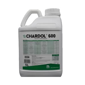 CHARDOL 600 - HERBICIDE photo du produit