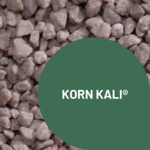 KORN KALI - Compacté photo du produit