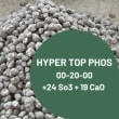 HYPER TOP PHOS - Granulé photo du produit
