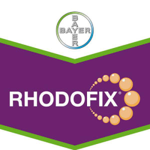 RHODOFIX - REGULATEUR photo du produit