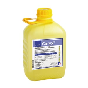 CARYX - REGULATEUR photo du produit