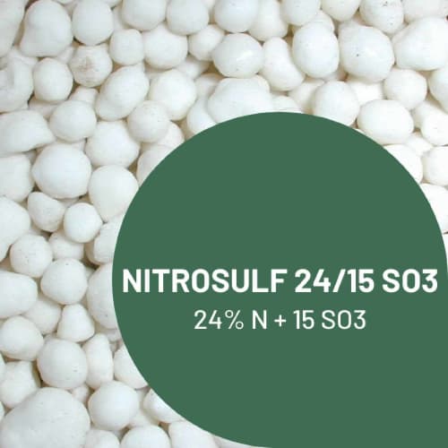 NITROSULF 24 N + 15 So3 - Granulé photo du produit Principale L