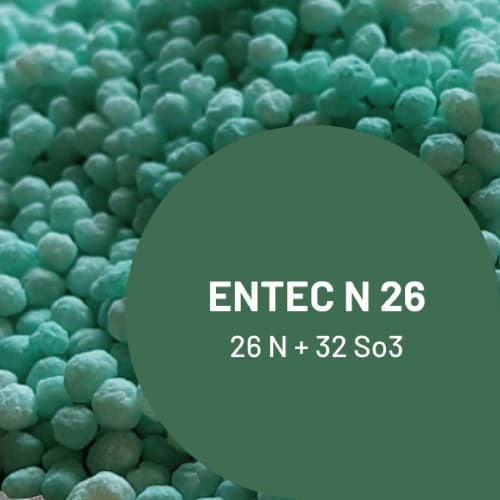 ENTEC N26 - Granulé photo du produit Principale L