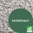 PATENTKALI - Granulé photo du produit