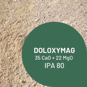 DOLOXYMAG - Poudre photo du produit